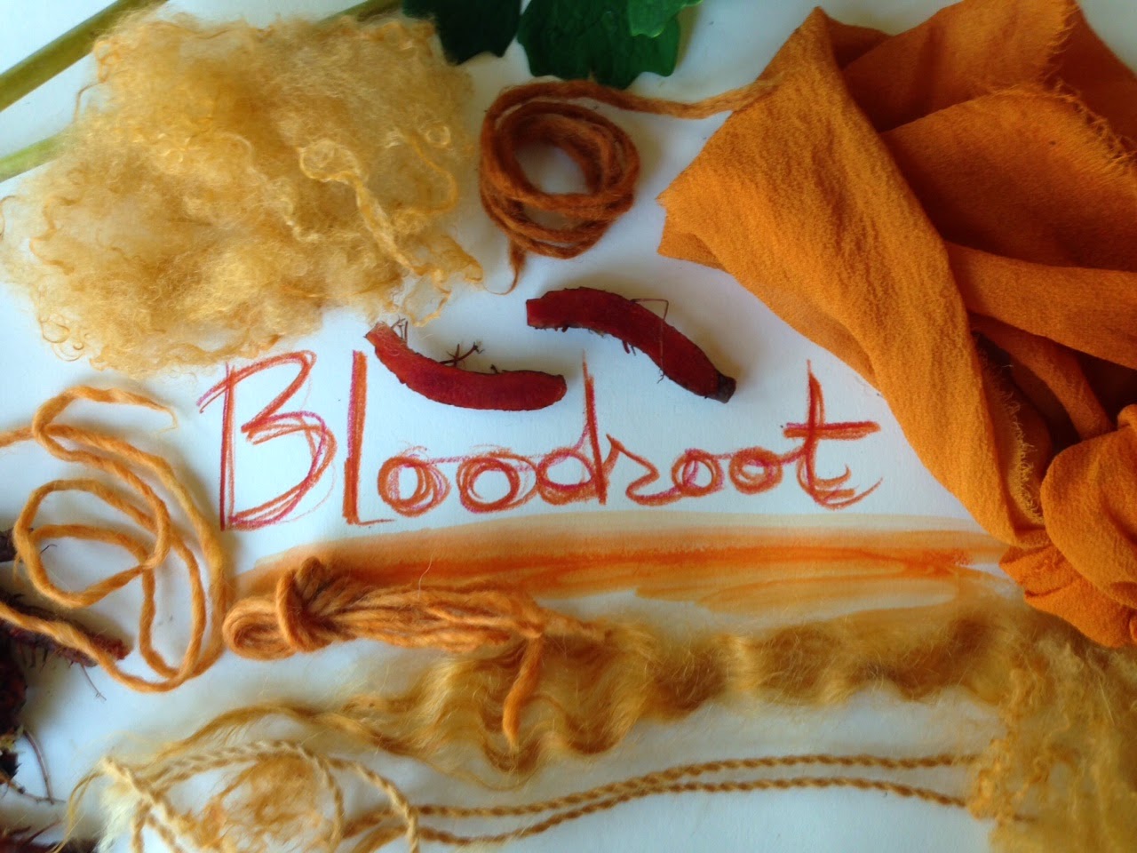 Bloodroot dye