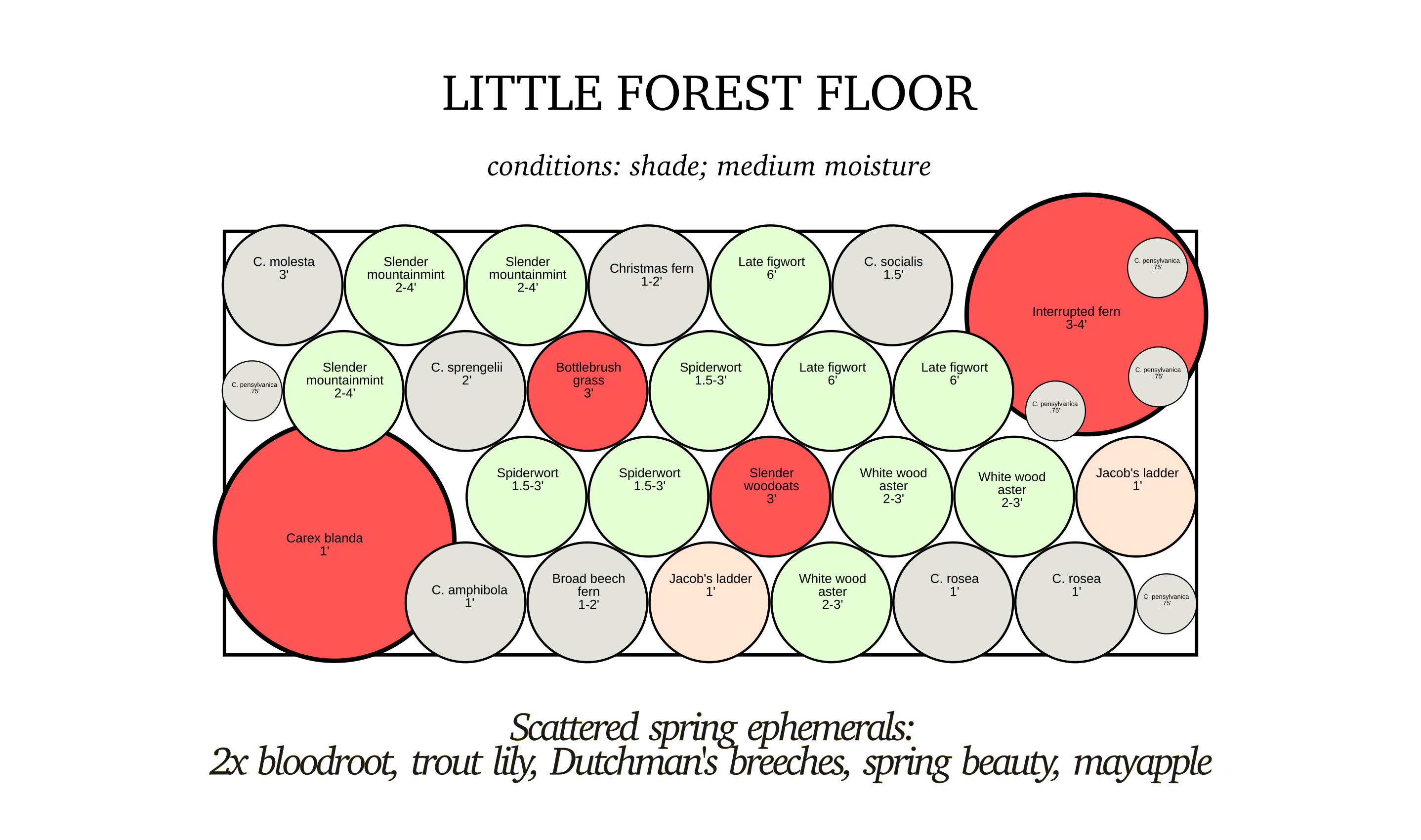 Forest floor diagram