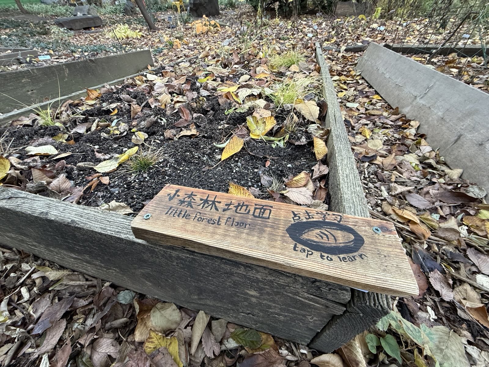 Little forest floor sign