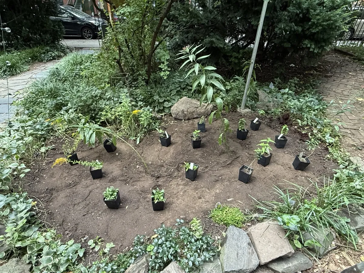 Seasonal theme layout